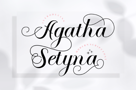 Agatha Setyna: A Delicate Typeface