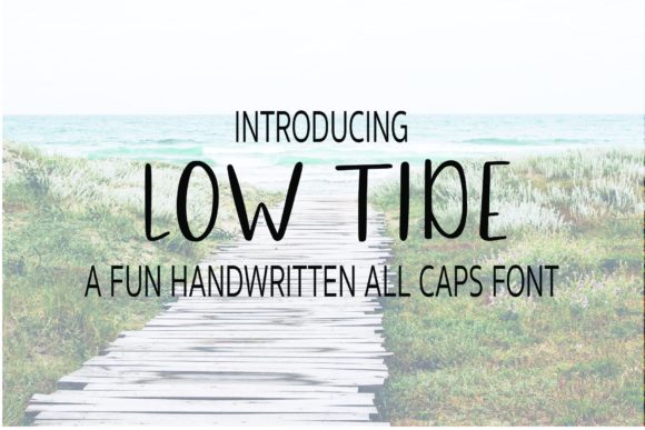 Low Tide Font for Business Design