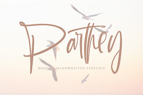 Parthey Font for Professional Branding