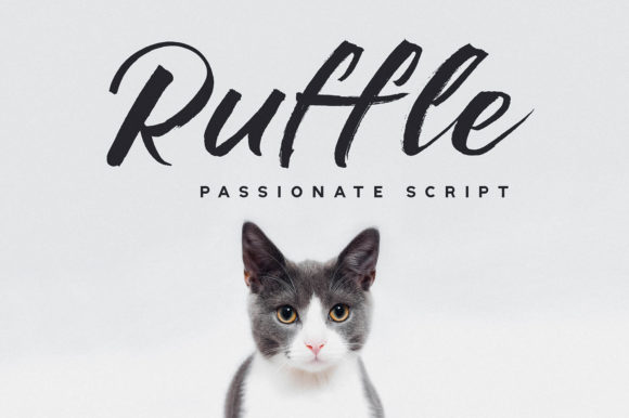 Ruffle Font for Business Branding