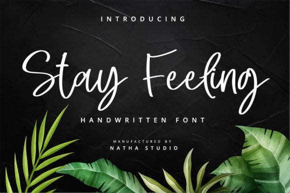 Stay Feeling Font for Business